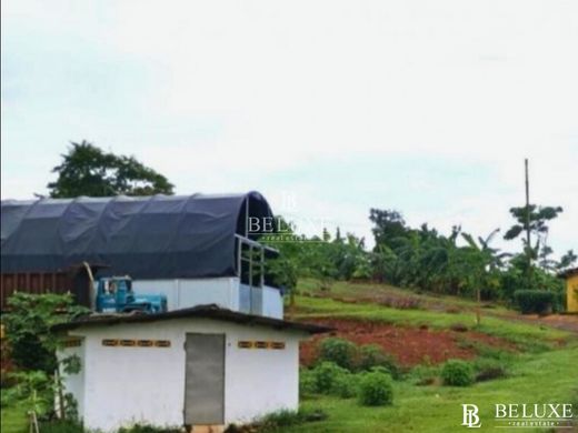 Ρουστίκ ή αγροικία σε La Chorrera, Distrito de La Chorrera