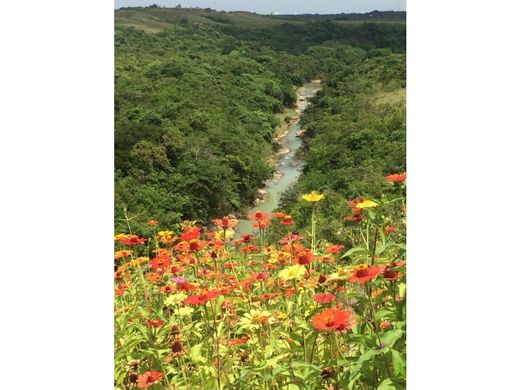 Rustik ya da çiftlik Río Hato, Distrito de Antón