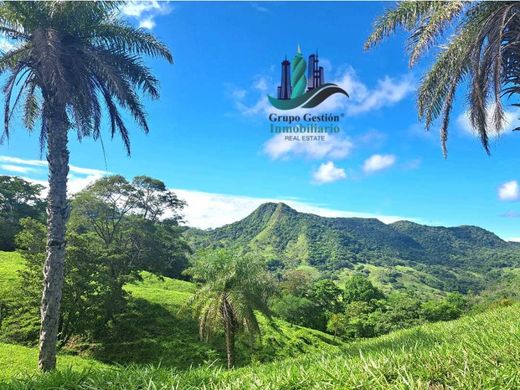 Rustykalny lub Wiejski w Gualaca, Distrito de Gualaca