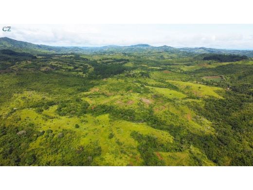 Ferme à Las Minas, Distrito de Las Minas