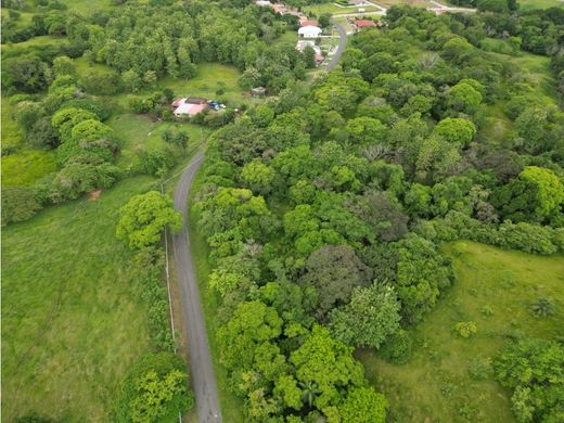 Terreno en David, Distrito de David