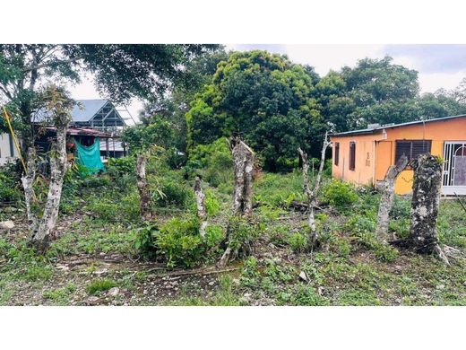 Quinta rústica - Boquete, Distrito de Boquete