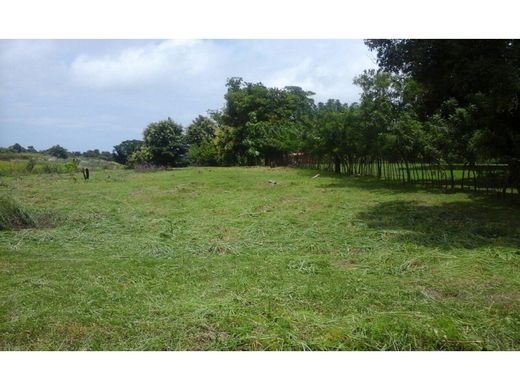 Grundstück in San Carlos, Distrito de San Carlos