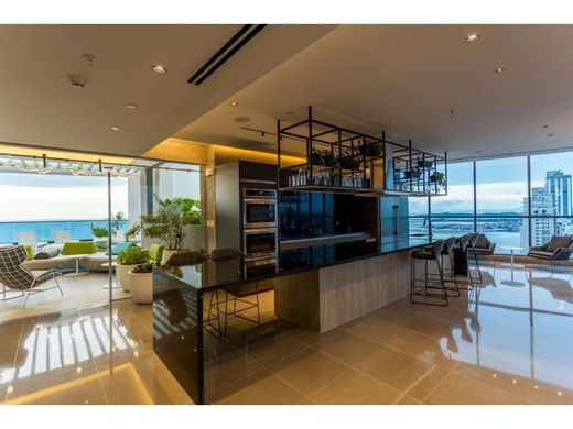 Attico a San Francisco, Distrito de San Francisco