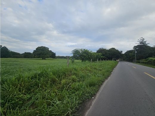 Ferme à Penonomé, Distrito Penonomé