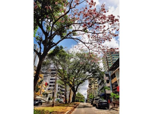 Teren w Panama, Distrito de Panamá