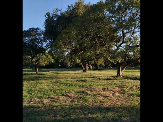 Αγροτεμάχιο σε Chame, Distrito de Chame