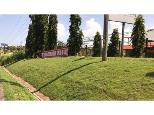 Αγροτεμάχιο σε San Carlos, Distrito de San Carlos