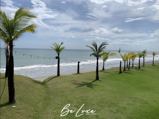 San Carlos, Distrito de San Carlosの土地