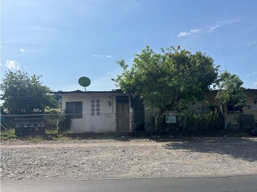 Terrain à David, Distrito de David