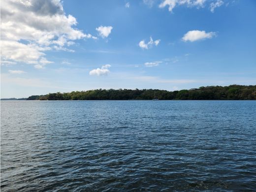 Grond in Horconcitos, Distrito de San Lorenzo