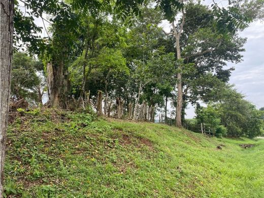 Αγροτεμάχιο σε Arraiján, Distrito Arraiján