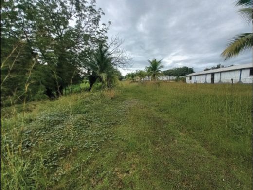 أرض ﻓﻲ San Carlos, Distrito de San Carlos