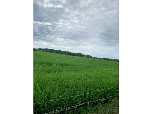 Участок, Chepo, Distrito de Chepo