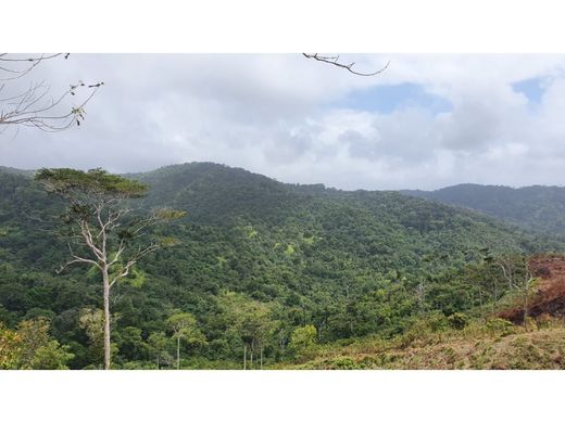 ‏קרקע ב  Chepo, Distrito de Chepo