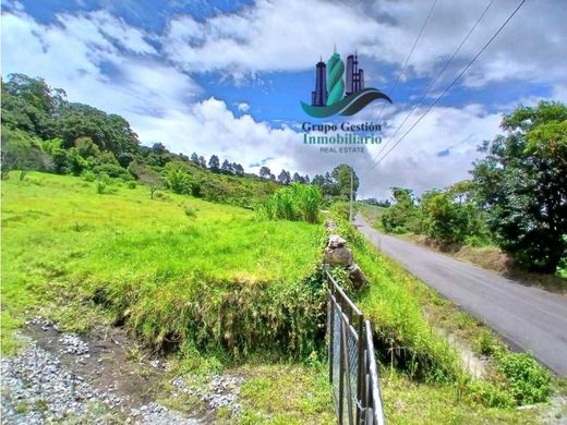 ﻣﻨﺰﻝ ﺭﻳﻔﻲ/ ﺑﻴﺖ ﻤﺰﺭﻋﺔ ﻓﻲ Boquete, Distrito de Boquete