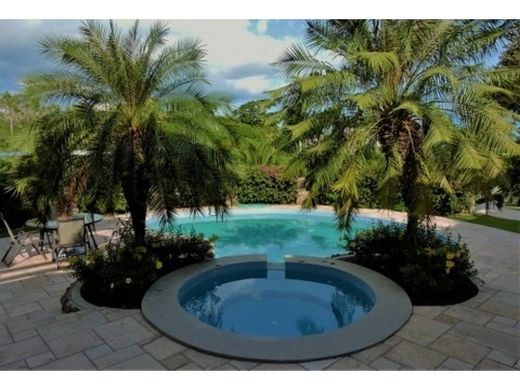 Luxus-Haus in San Carlos, Distrito de San Carlos