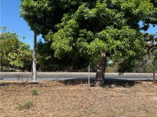 Terreno - San Carlos, Distrito de San Carlos