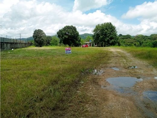 Arsa Buena Vista, Distrito de Colón