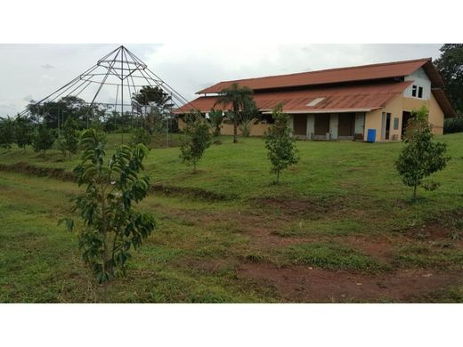 ‏בתים כפריים או חוות ב  Cermeño, Distrito de Capira