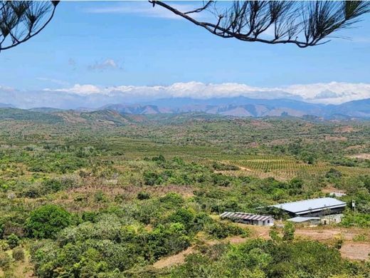 전원/농가 / San Francisco, Distrito de San Francisco