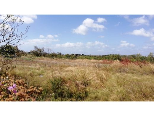 Land in San Carlos, Distrito de San Carlos