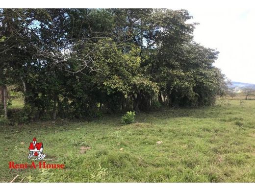 ‏קרקע ב  Veraguas, Distrito de Santa Fé