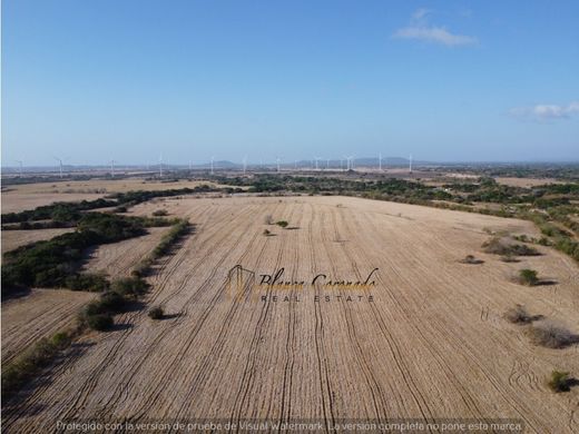 토지 / Coclé, Distrito Penonomé