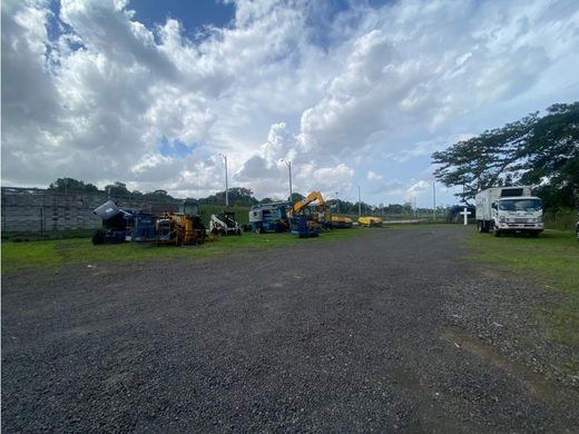 토지 / 파나마 시, Distrito de Panamá