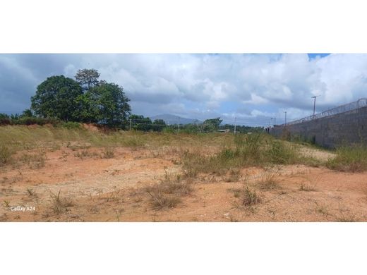 パナマシティ, Distrito de Panamáの土地