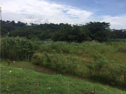 Sabanitas, Distrito de Colónの土地