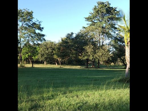 토지 / Chame, Distrito de Chame