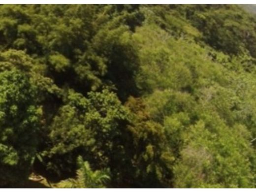 ‏קרקע ב  San Pablo Viejo Arriba, Distrito de David