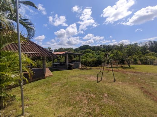 Ferme à La Chorrera, Distrito de La Chorrera