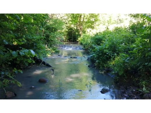 Quinta rústica - Capira, Distrito de Capira