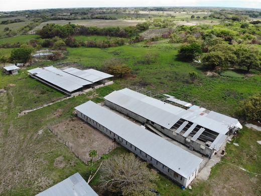 Quinta rústica - Antón, Distrito de Antón