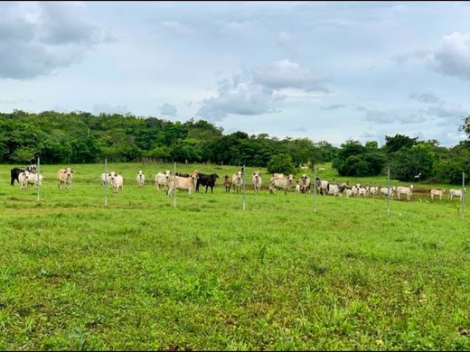 Farmhouse in Canto del Llano, Distrito de Santiago