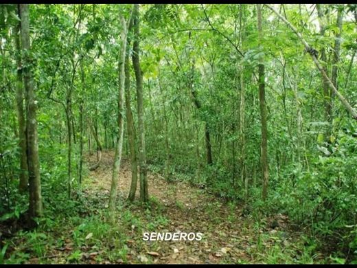 Arsa Capira, Distrito de Capira