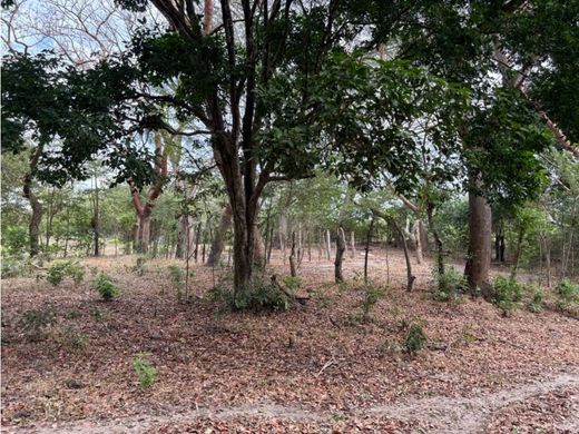 Terreno en San Carlos, Distrito de San Carlos