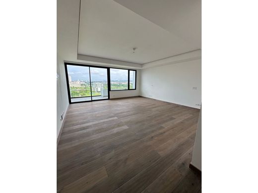 Daire Panama Pacifico, Provincia de Panamá