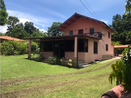 Boerderij in San Carlos, Distrito de San Carlos