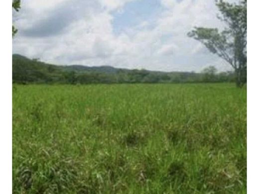 Farmhouse in Chepo, Distrito de Chepo