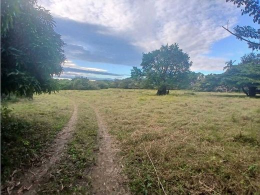 Boerderij in Las Tablas, Distrito de Las Tablas