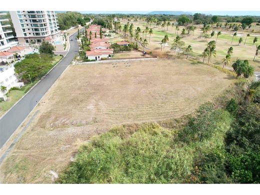 ‏קרקע ב  San Carlos, Distrito de San Carlos