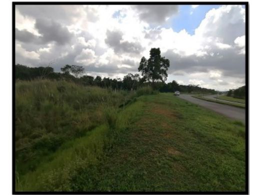 Αγροτεμάχιο σε Πόλη του Παναμά, Distrito de Panamá