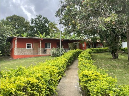 Chalet in San Carlos, Distrito de San Carlos