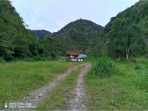 ‏בתים כפריים או חוות ב  Volcán, Distrito de Bugaba