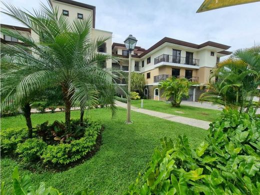 아파트 / 파나마 시, Distrito de Panamá