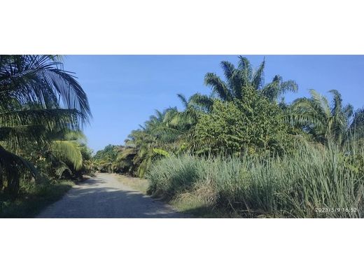 Cortijo o casa de campo en Puerto Armuelles, Distrito de Barú