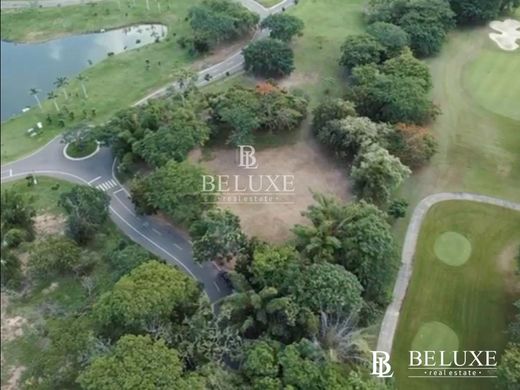 Terreno en Farallón, Distrito de La Pintada